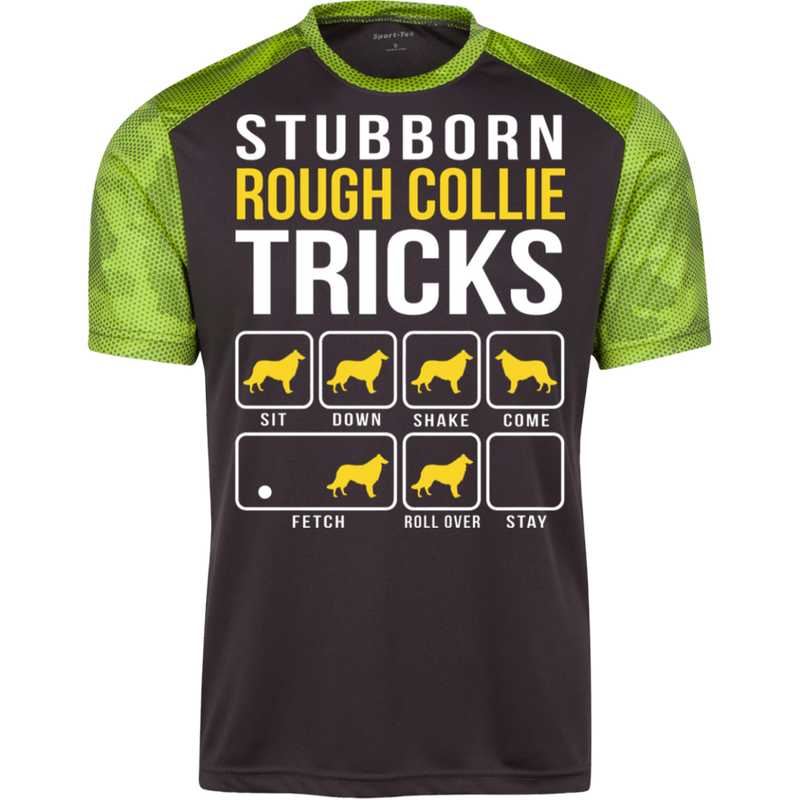 Collie Stubborn Tricks